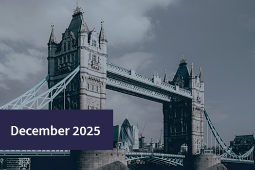 Capital Markets Monthly 